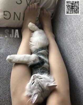俺去电影网
