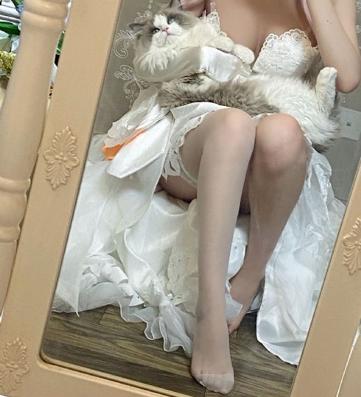 开始推理吧第二季免费观看