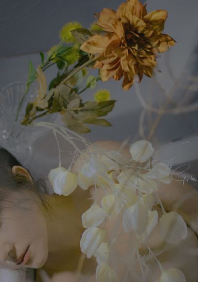 花宵道中