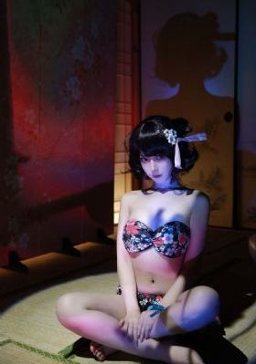 大西南剿匪记